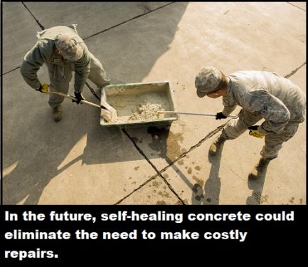 160113 F WH816 135 433x375