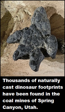 800px Ceratopsian tracks blackhawk formation price 3