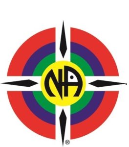 NA logo2 264x300