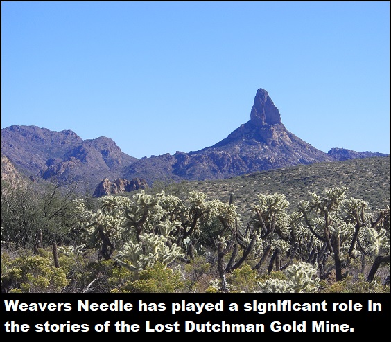 Weaversneedle